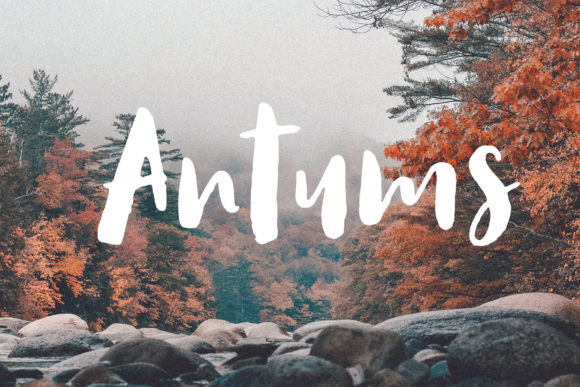 Antums: A Hand-Drawn Script Font for Editorial Design