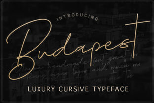 Budapest Family: A Premium Font for Brand Identity