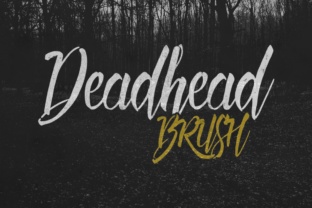 Deadhead Brush: A Hand-Lettered Typeface for Campaigns