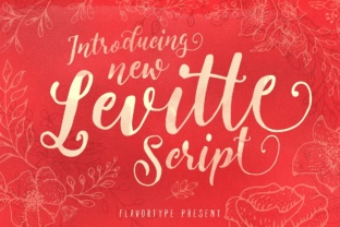 Levitte: A Fresh Script Font for Campaign Design