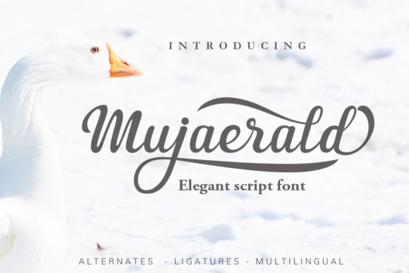 Mujaerald: An Elegant Script Font for Editorial Design