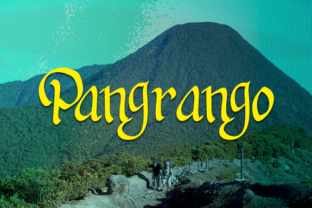Pangrango: A Real-World Review for Designers