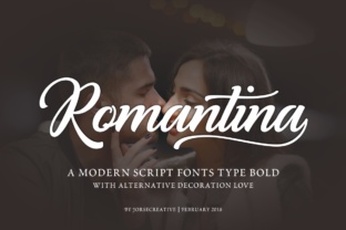 Romantina: A Modern Script Font for Crafters