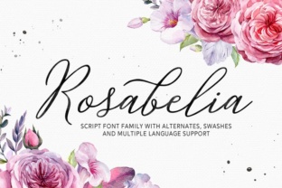 Rosabelia: The Modern Script Font for Marketers