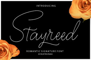 Stayreed: A Gorgeous Calligraphy Font for Brand Identity