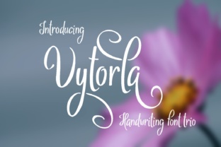 Vytorla: A Premium Handwritten Font for Brand Identity